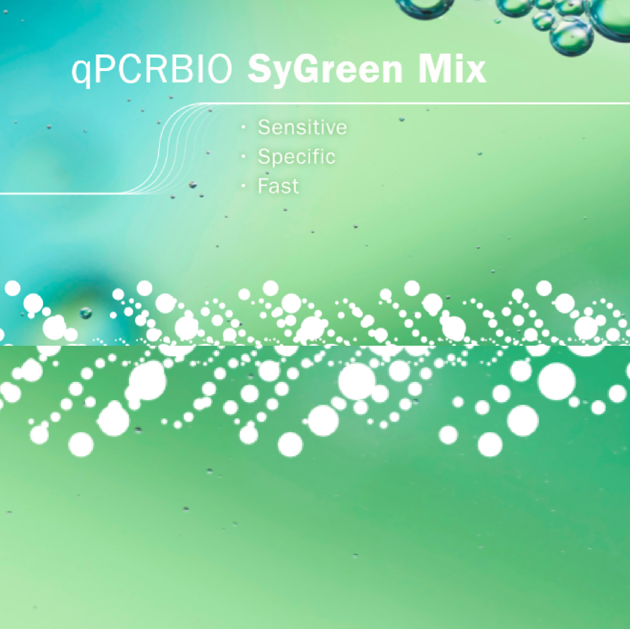 qPCRBIO SyGreen Mix